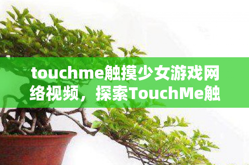 touchme触摸少女游戏网络视频,探索TouchMe触摸少女游戏的魅力 touchme触摸少女游戏网络视频,探索TouchMe触摸少女游戏的魅力