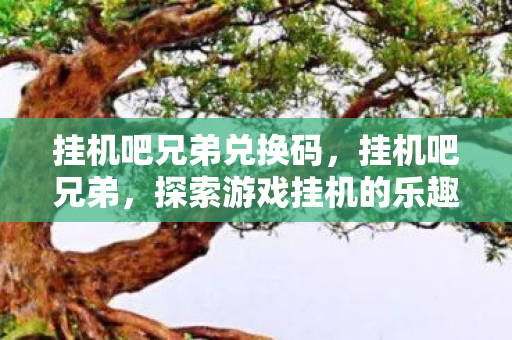 挂机吧兄弟兑换码,挂机吧兄弟,探索游戏挂机的乐趣与奥秘 挂机吧兄弟兑换码,挂机吧兄弟,探索游戏挂机的乐趣与奥秘
