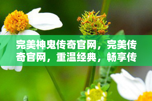 完美神鬼传奇官网,完美传奇官网,重温经典,畅享传奇世界 完美神鬼传奇官网,完美传奇官网,重温经典,畅享传奇世界