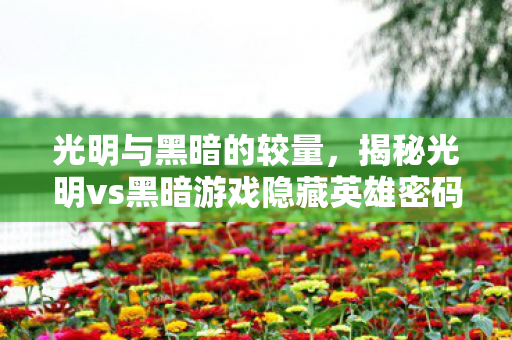 光明与黑暗的较量,揭秘光明vs黑暗游戏隐藏英雄密码 光明与黑暗的较量,揭秘光明vs黑暗游戏隐藏英雄密码