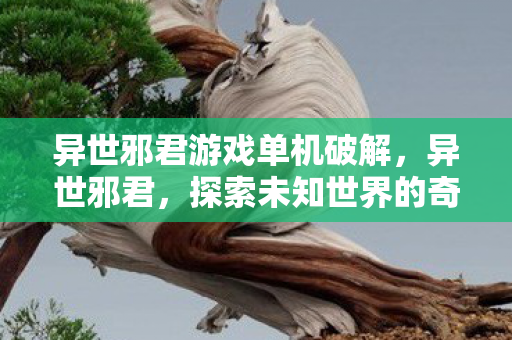异世邪君游戏单机破解,异世邪君,探索未知世界的奇幻之旅 异世邪君游戏单机破解,异世邪君,探索未知世界的奇幻之旅