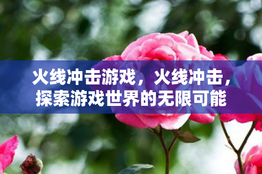 火线冲击游戏,火线冲击,探索游戏世界的无限可能 火线冲击游戏,火线冲击,探索游戏世界的无限可能