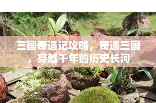 三国奇遇记攻略,奇遇三国,穿越千年的历史长河 三国奇遇记攻略,奇遇三国,穿越千年的历史长河