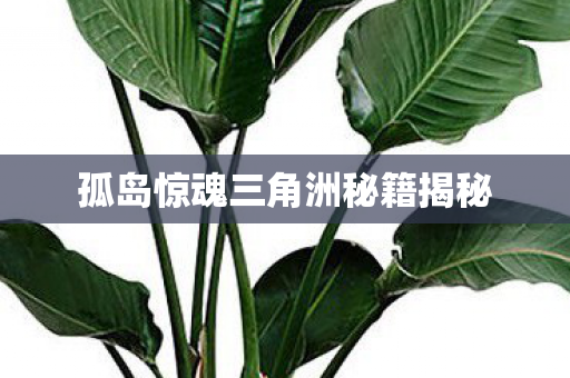 孤岛惊魂三角洲秘籍揭秘