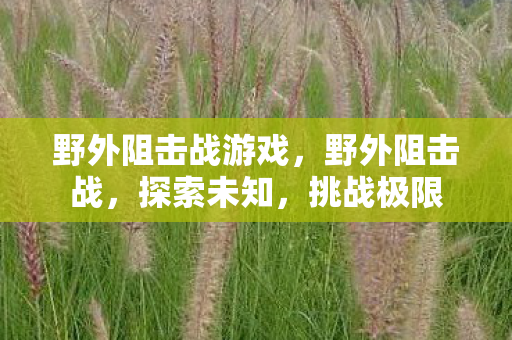 野外阻击战游戏，野外阻击战，探索未知，挑战极限