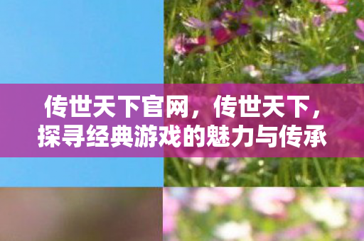传世天下官网,传世天下,探寻经典游戏的魅力与传承 传世天下官网,传世天下,探寻经典游戏的魅力与传承