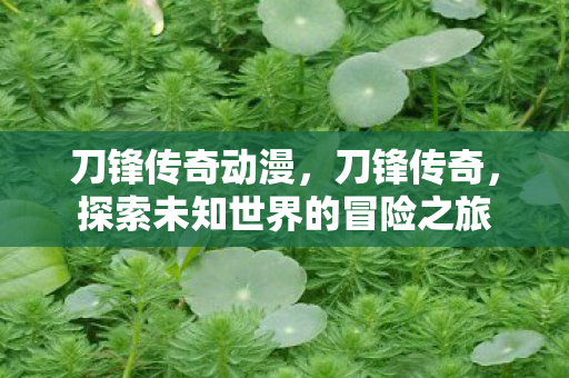 刀锋传奇动漫,刀锋传奇,探索未知世界的冒险之旅 刀锋传奇动漫,刀锋传奇,探索未知世界的冒险之旅