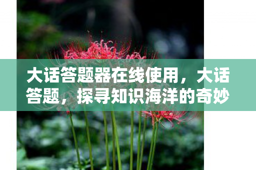 大话答题器在线使用,大话答题,探寻知识海洋的奇妙之旅 大话答题器在线使用,大话答题,探寻知识海洋的奇妙之旅