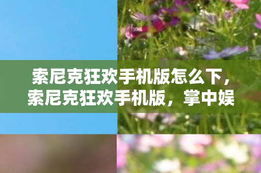 索尼克狂欢手机版怎么下,索尼克狂欢手机版,掌中娱乐新体验 索尼克狂欢手机版怎么下,索尼克狂欢手机版,掌中娱乐新体验