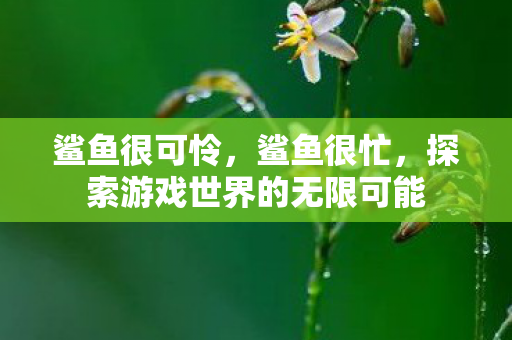 鲨鱼很可怜，鲨鱼很忙，探索游戏世界的无限可能