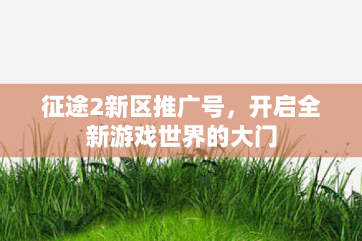 征途2新区推广号,开启全新游戏世界的大门 征途2新区推广号,开启全新游戏世界的大门