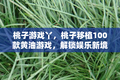 桃子游戏丫，桃子移植100款黄油游戏，解锁娱乐新境界
