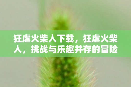 狂虐火柴人下载，狂虐火柴人，挑战与乐趣并存的冒险之旅