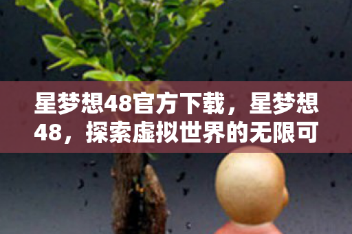 星梦想48官方下载，星梦想48，探索虚拟世界的无限可能
