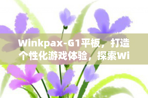 探索WinkPax的无限可能图片