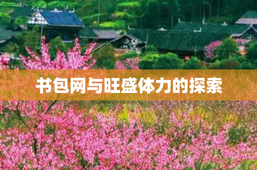书包网与旺盛体力的探索