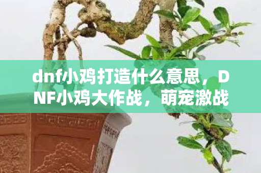 dnf小鸡打造什么意思,DNF小鸡大作战,萌宠激战,乐趣无限! dnf小鸡打造什么意思,DNF小鸡大作战,萌宠激战,乐趣无限!