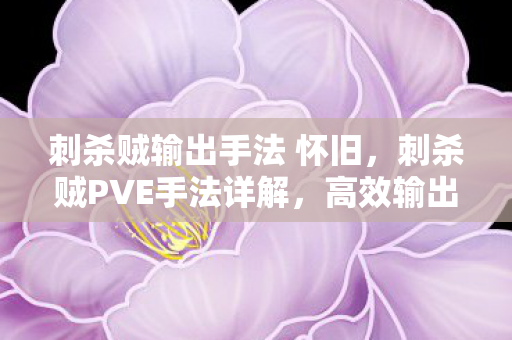 刺杀贼输出手法 怀旧图片
