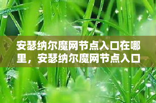 安瑟纳尔魔网节点入口在哪里图片