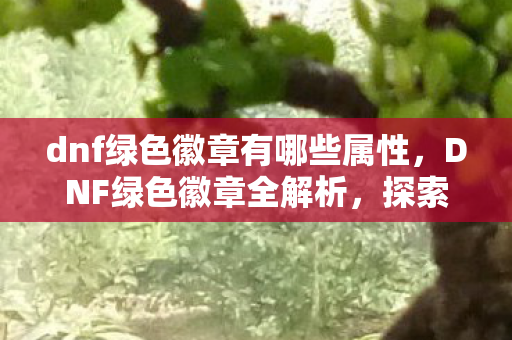探索那些令人向往的徽章魅力图片