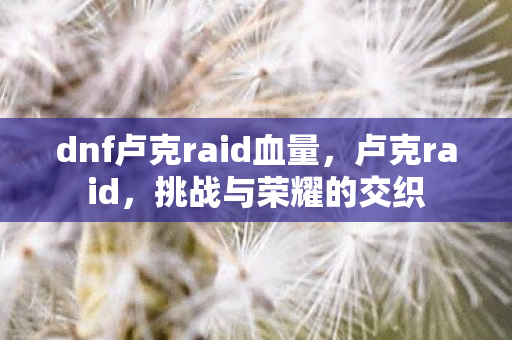 dnf卢克raid血量,卢克raid,挑战与荣耀的交织 dnf卢克raid血量,卢克raid,挑战与荣耀的交织