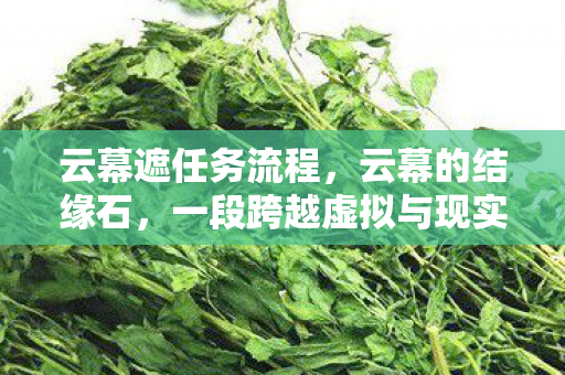 云幕遮任务流程,云幕的结缘石,一段跨越虚拟与现实的浪漫传奇 云幕遮任务流程,云幕的结缘石,一段跨越虚拟与现实的浪漫传奇