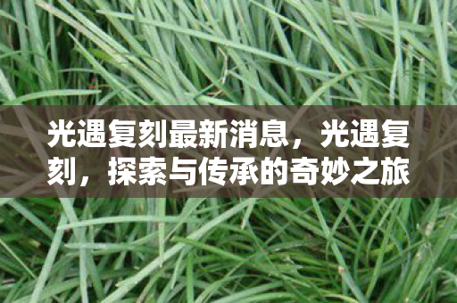光遇复刻最新消息,光遇复刻,探索与传承的奇妙之旅 光遇复刻最新消息,光遇复刻,探索与传承的奇妙之旅