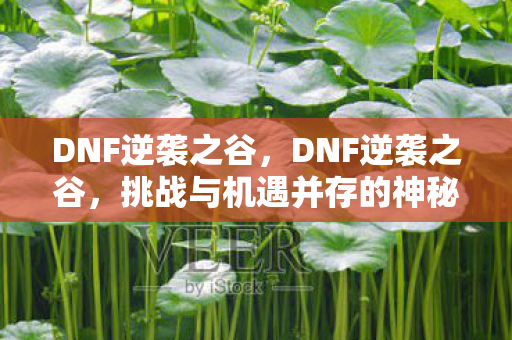 挑战与机遇并存的神秘领域图片