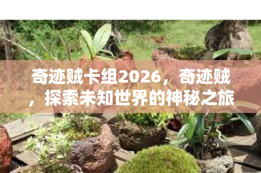 奇迹贼卡组2026,奇迹贼,探索未知世界的神秘之旅 奇迹贼卡组2026,奇迹贼,探索未知世界的神秘之旅