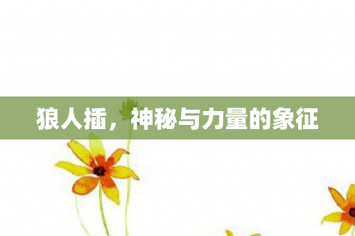狼人插,神秘与力量的象征 狼人插,神秘与力量的象征