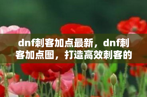 打造高效刺客的加点策略图片