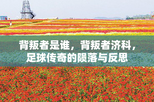 足球传奇的陨落与反思图片