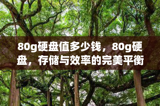 80g硬盘值多少钱,80g硬盘,存储与效率的完美平衡 80g硬盘值多少钱,80g硬盘,存储与效率的完美平衡