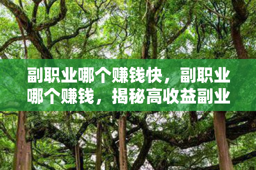 副职业哪个赚钱快,副职业哪个赚钱,揭秘高收益副业选择 副职业哪个赚钱快,副职业哪个赚钱,揭秘高收益副业选择