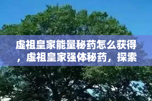 虚祖皇家能量秘药怎么获得,虚祖皇家强体秘药,探索古老秘方的现代奇迹 虚祖皇家能量秘药怎么获得,虚祖皇家强体秘药,探索古老秘方的现代奇迹
