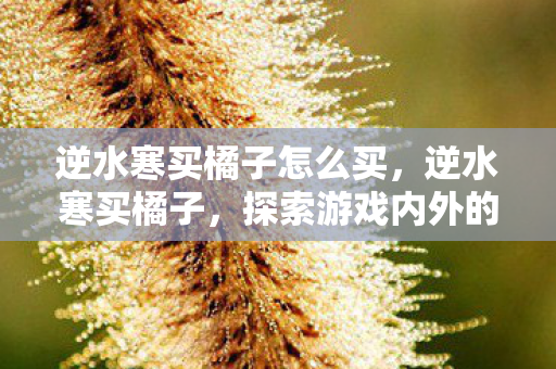 逆水寒买橘子怎么买,逆水寒买橘子,探索游戏内外的经济生态 逆水寒买橘子怎么买,逆水寒买橘子,探索游戏内外的经济生态