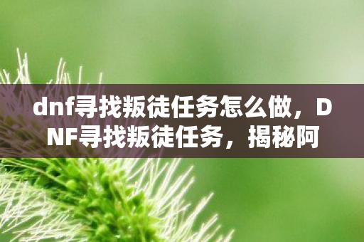 dnf寻找叛徒任务怎么做,DNF寻找叛徒任务,揭秘阿拉德大陆的隐秘挑战 dnf寻找叛徒任务怎么做,DNF寻找叛徒任务,揭秘阿拉德大陆的隐秘挑战
