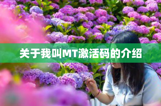 关于我叫MT激活码的介绍
