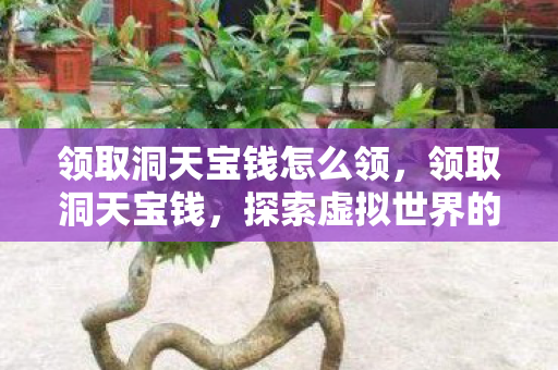 探索虚拟世界的财富之旅图片