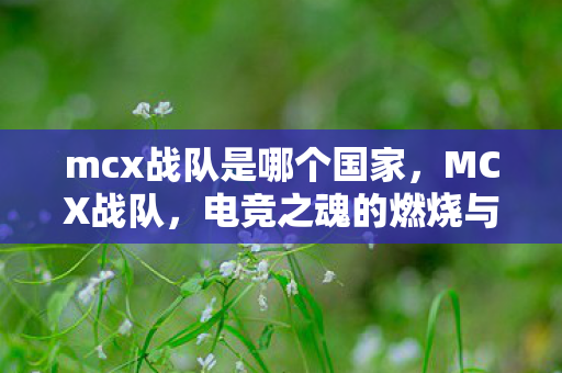 mcx战队是哪个国家，MCX战队，电竞之魂的燃烧与传承