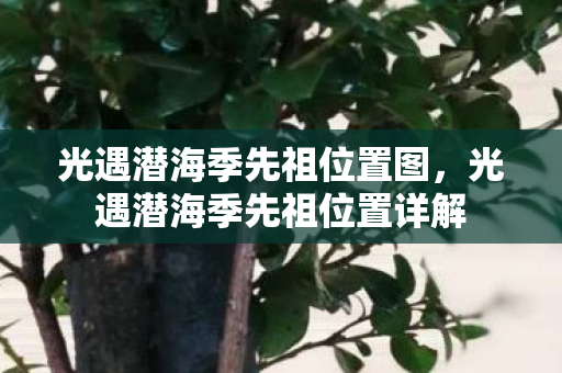 光遇潜海季先祖位置图,光遇潜海季先祖位置详解 光遇潜海季先祖位置图,光遇潜海季先祖位置详解