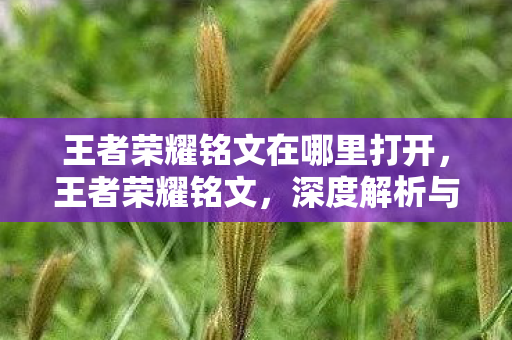 王者荣耀铭文在哪里打开，王者荣耀铭文，深度解析与搭配建议