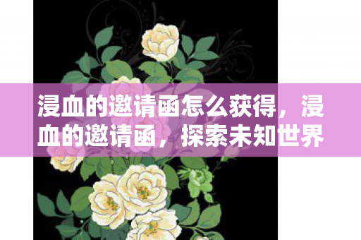浸血的邀请函怎么获得，浸血的邀请函，探索未知世界的神秘邀请