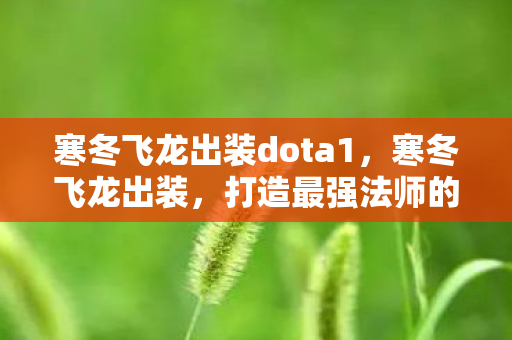 寒冬飞龙出装dota1，寒冬飞龙出装，打造最强法师的装备指南