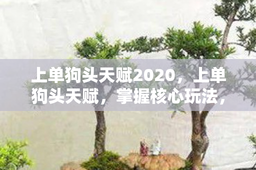 上单狗头天赋2020，上单狗头天赋，掌握核心玩法，称霸上路