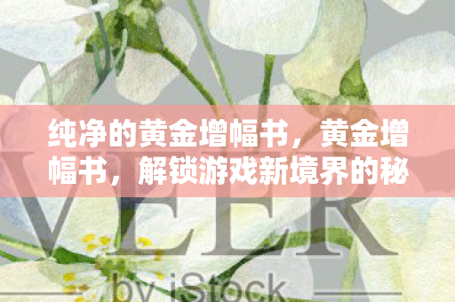 纯净的黄金增幅书，黄金增幅书，解锁游戏新境界的秘钥