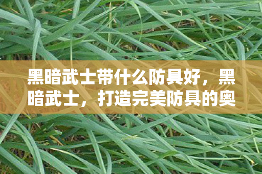 黑暗武士带什么防具好，黑暗武士，打造完美防具的奥秘