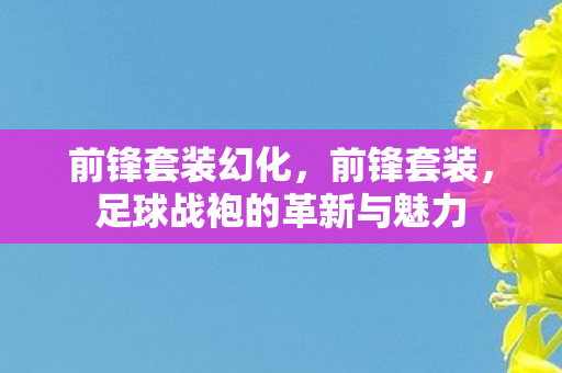 足球战袍的革新与魅力图片