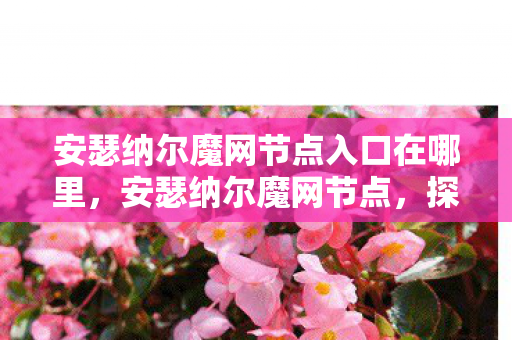 安瑟纳尔魔网节点入口在哪里图片