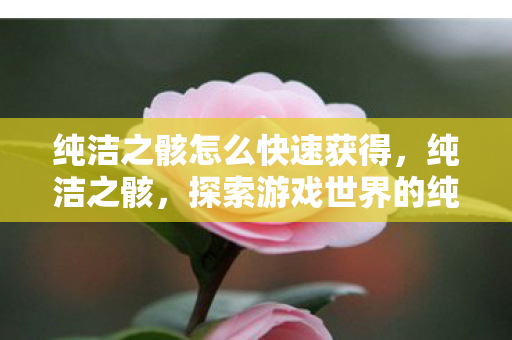 纯洁之骸怎么快速获得,纯洁之骸,探索游戏世界的纯净与神秘 纯洁之骸怎么快速获得,纯洁之骸,探索游戏世界的纯净与神秘